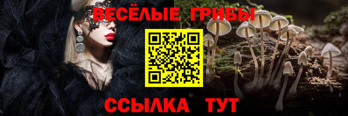 АМФ кристаллы  Cocaine  Alpha-PVP СОЛЬ кристаллы  Каменка  Марихуана  Меф   ГАШ  Вход с VPN 